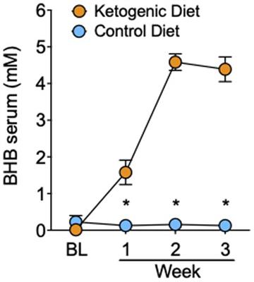 Ketogenic diet reduces a neurobiological craving signature in inpatients with alcohol use disorder